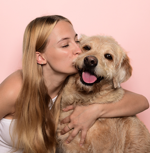 Berlin Steglitz das Schloss in Berlin