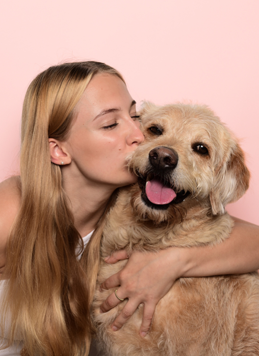 Berlin Steglitz das Schloss in Berlin